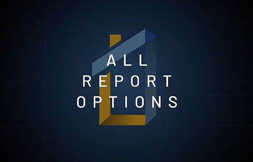 all-report-options