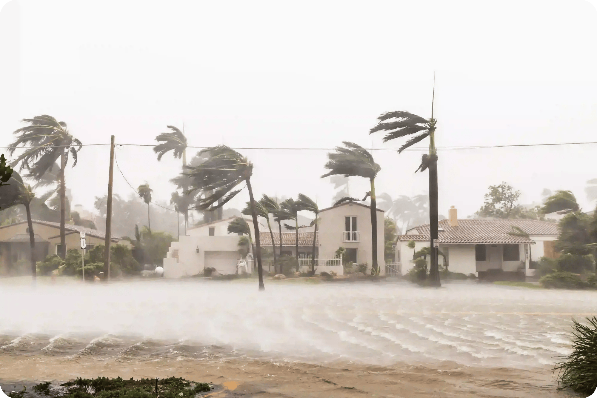 Florida_Hurricane_OneClick