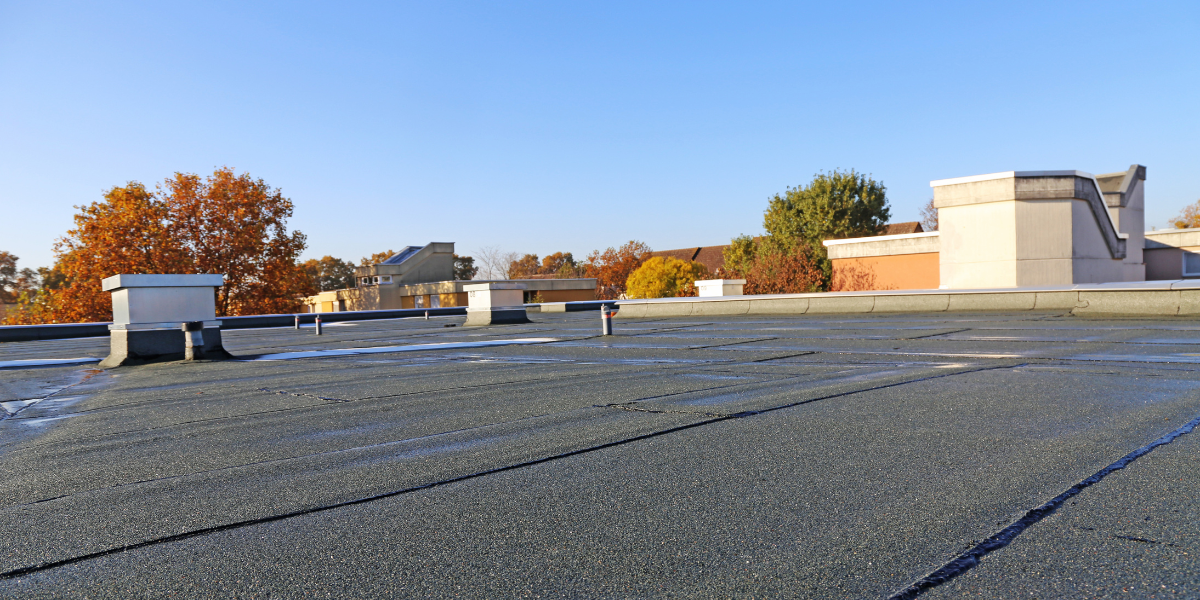 Roof view on a sunny day