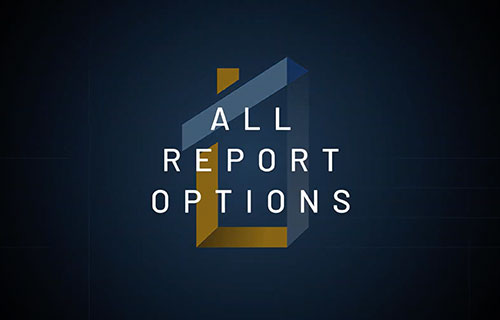 all-report-options